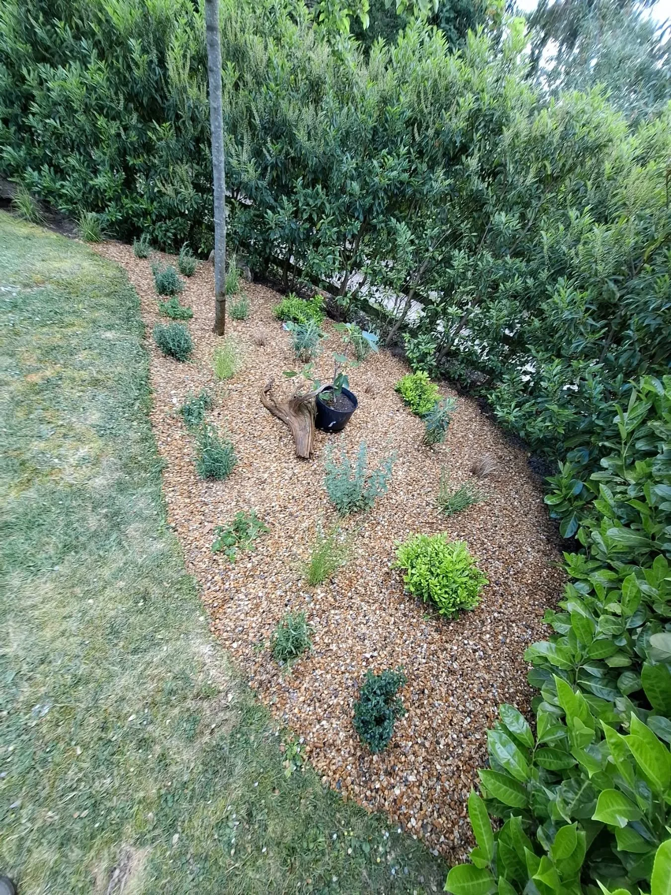 Absolutely loved this one! Mediterranean, drought tolerant and some gravel,  match made in Heaven!