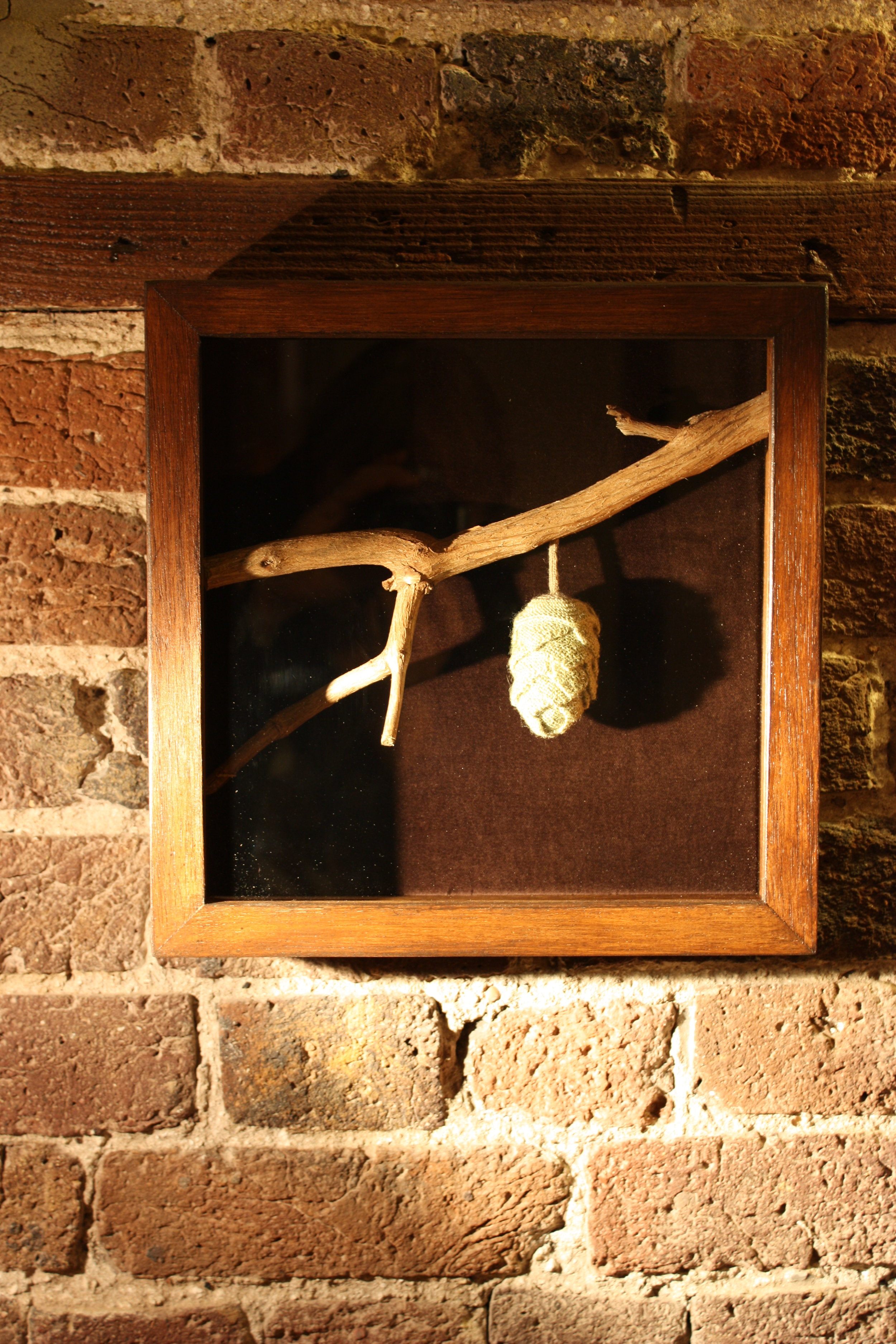 03 Sole survivor_wool and wood.JPG