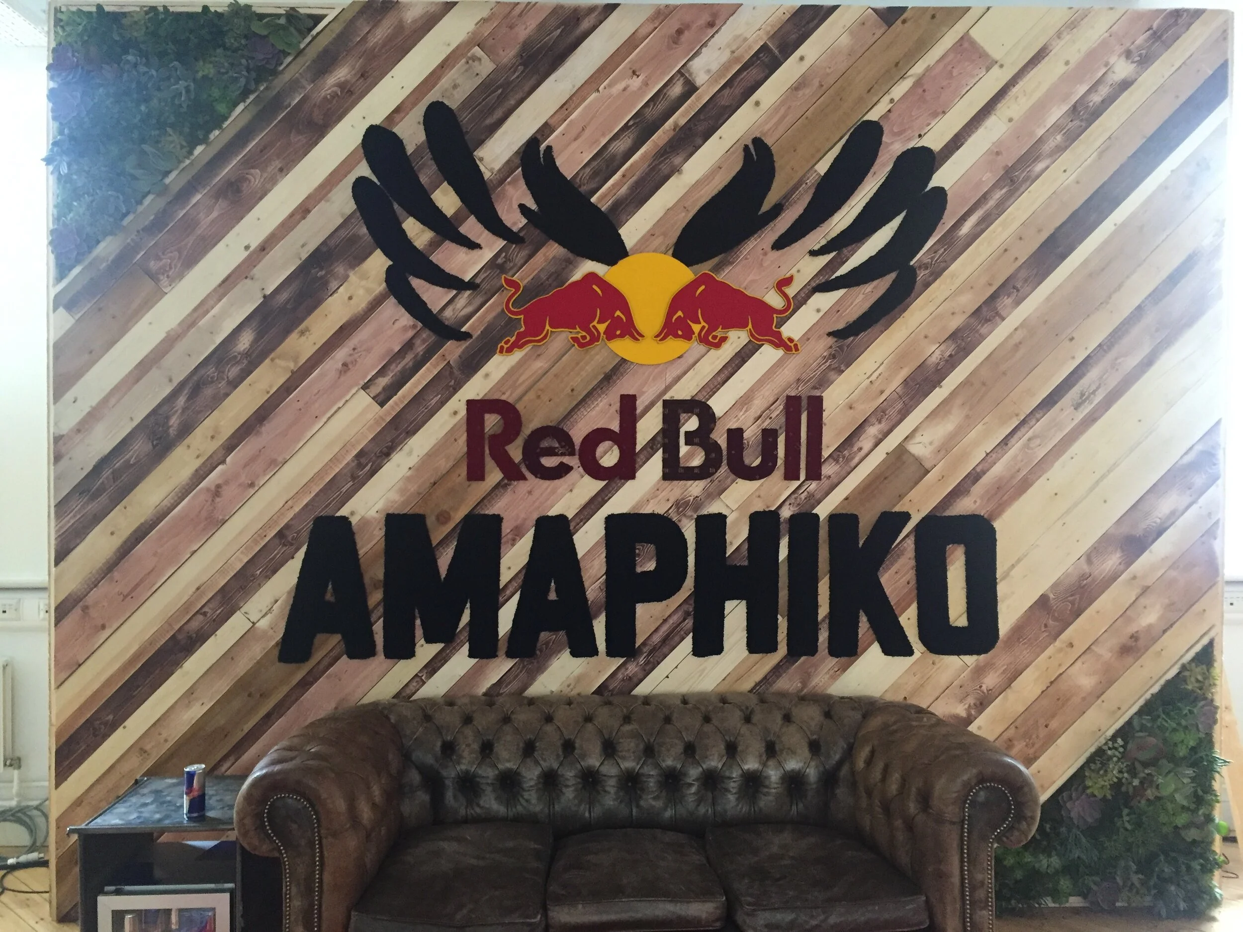 red bull 3.JPG