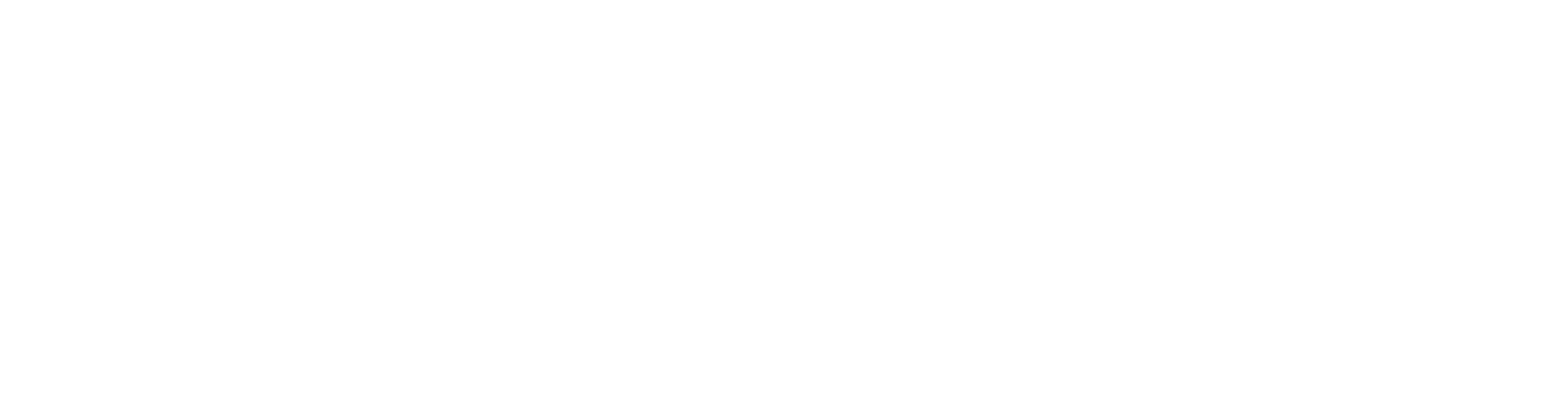ALYLOGO_white-17.png