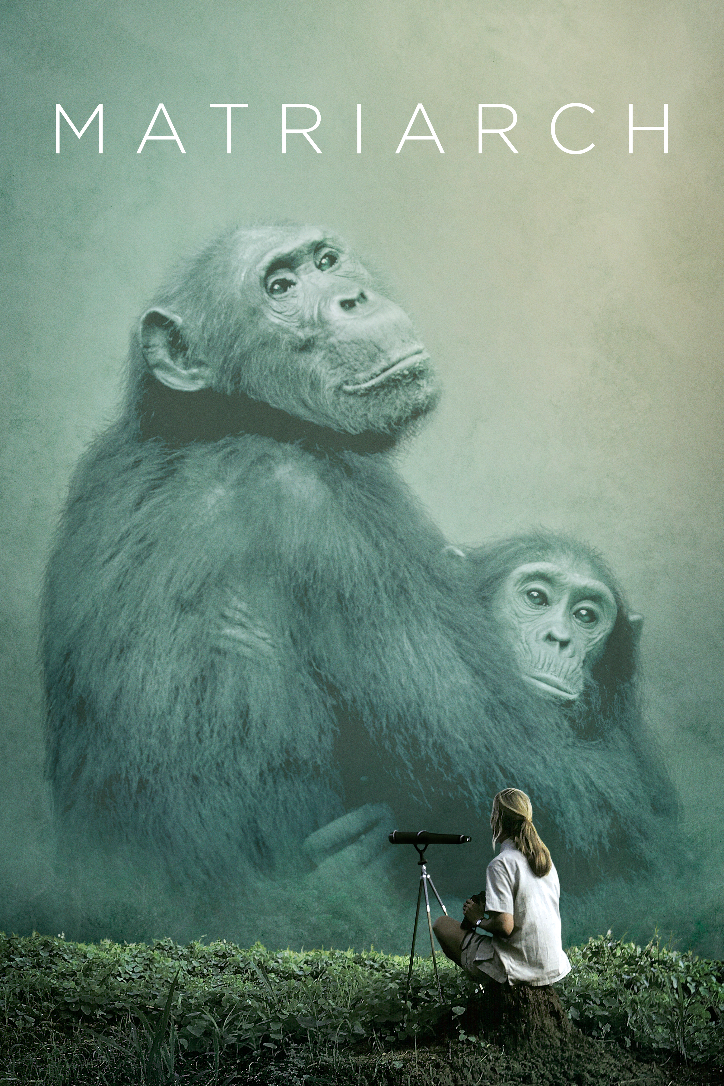 Matriarch for BBC Studios Creative