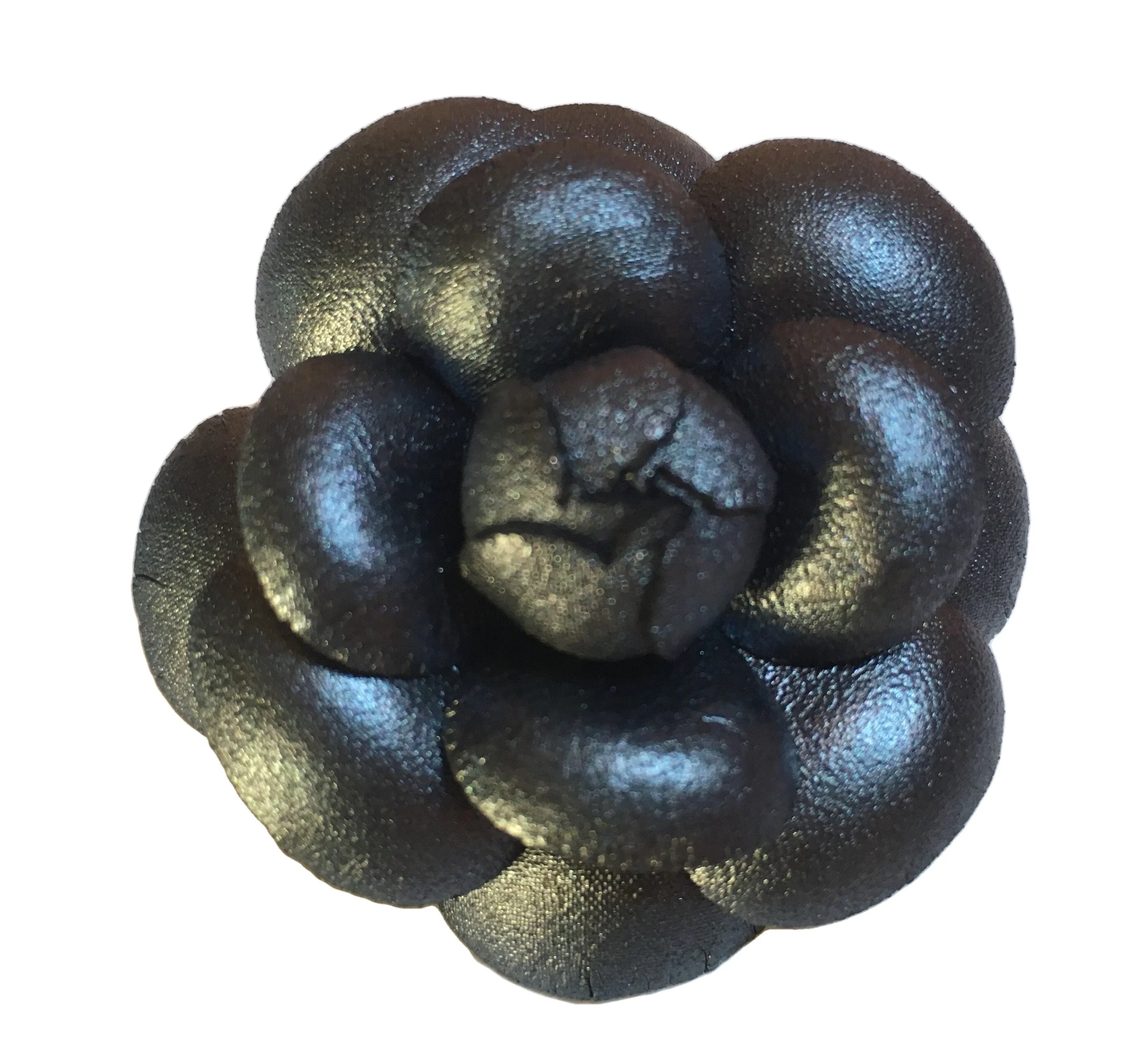 Camelia6.jpg