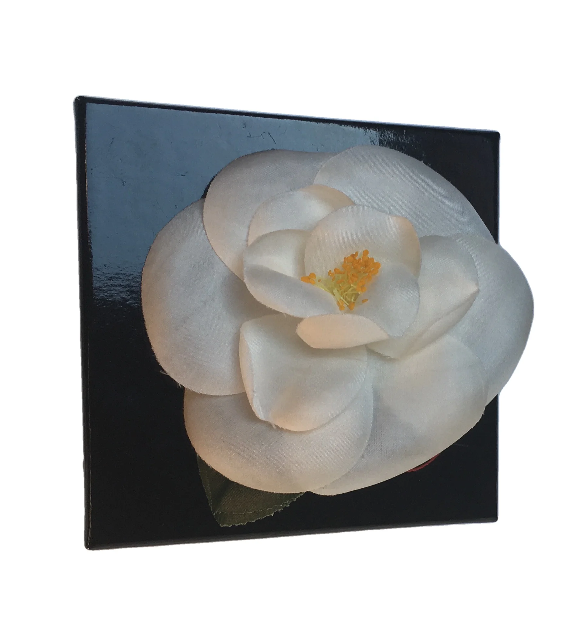 CCamelia2.jpg