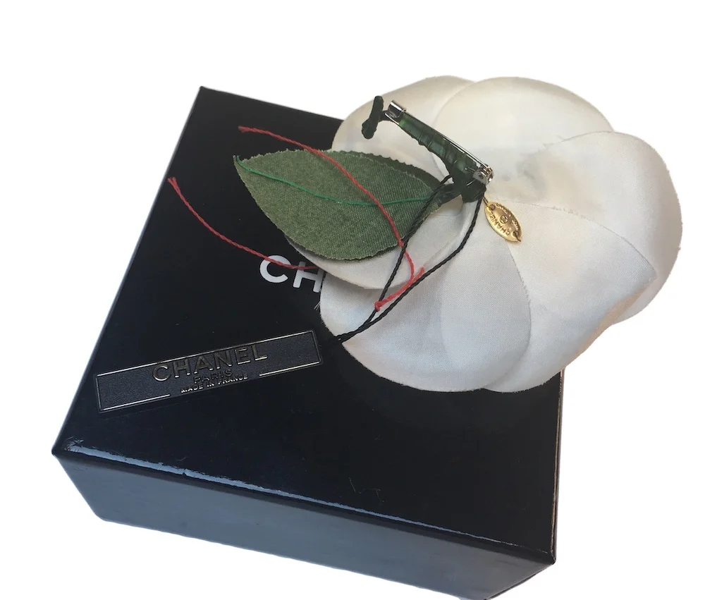 CCamelia3.jpg