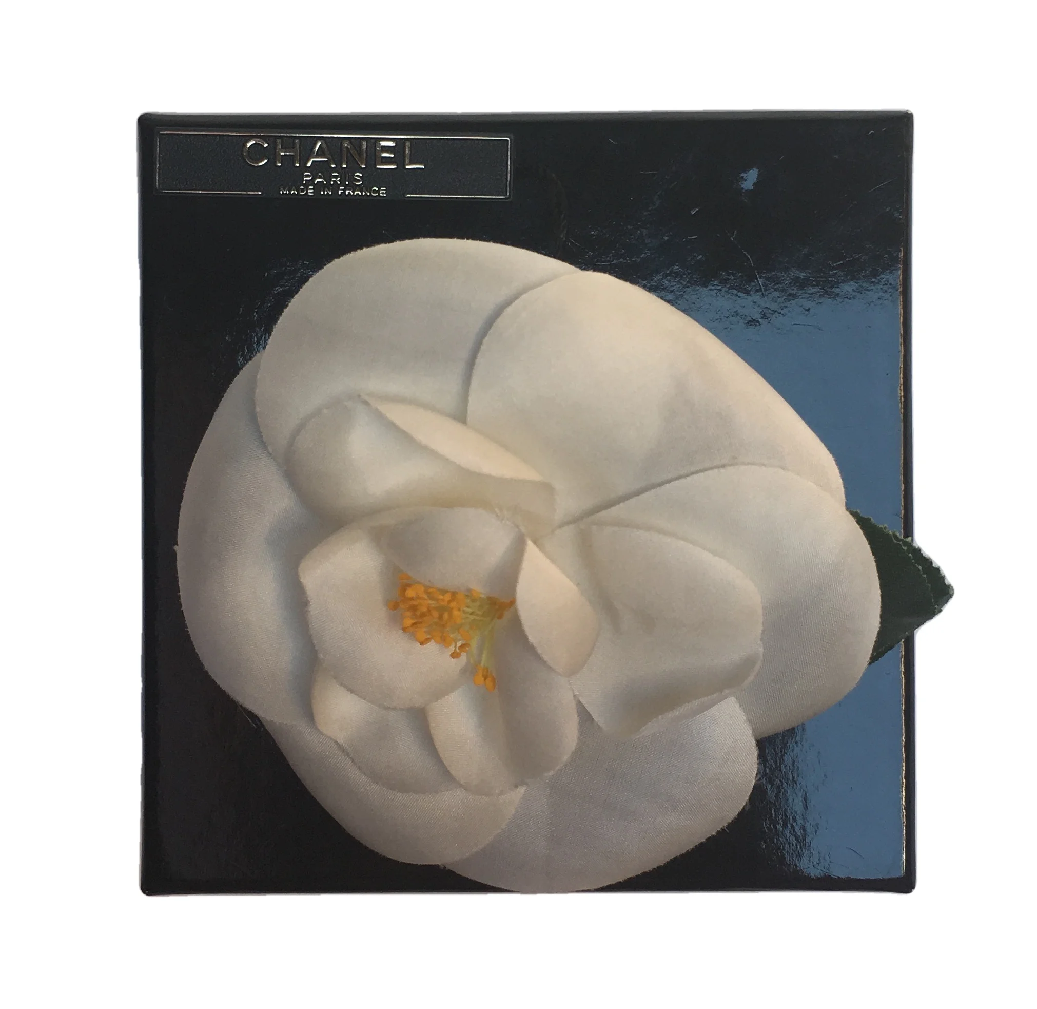 CCamelia5.jpg