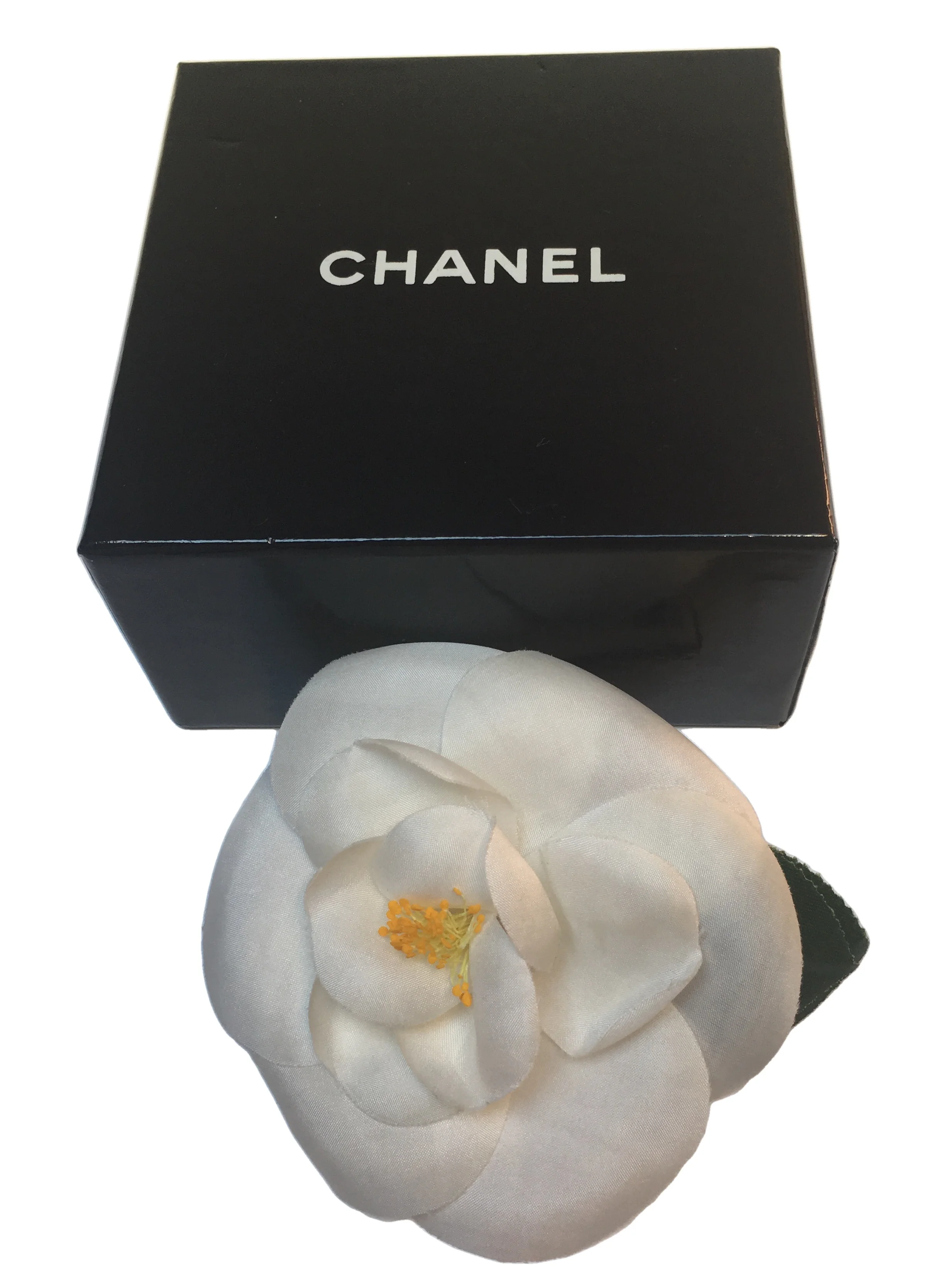 CCamelia4.jpg