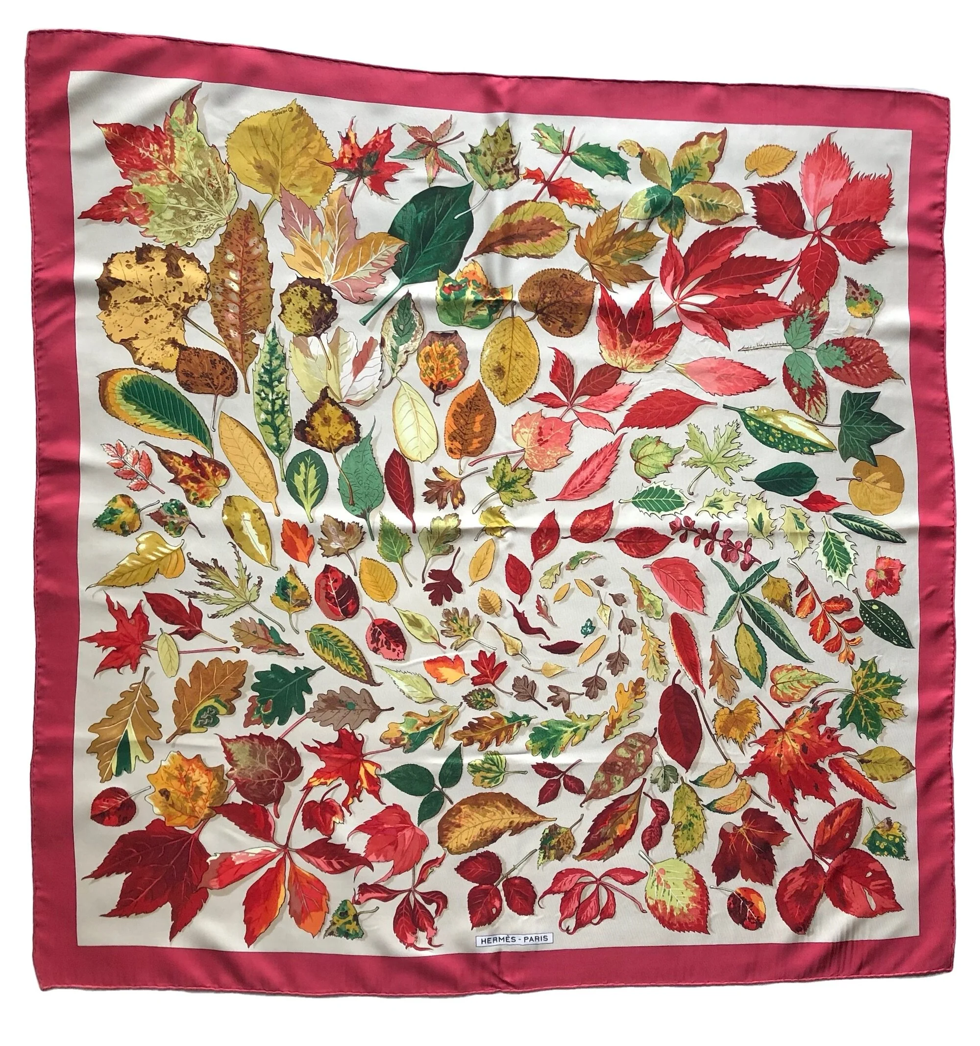 Feuilles1.jpg