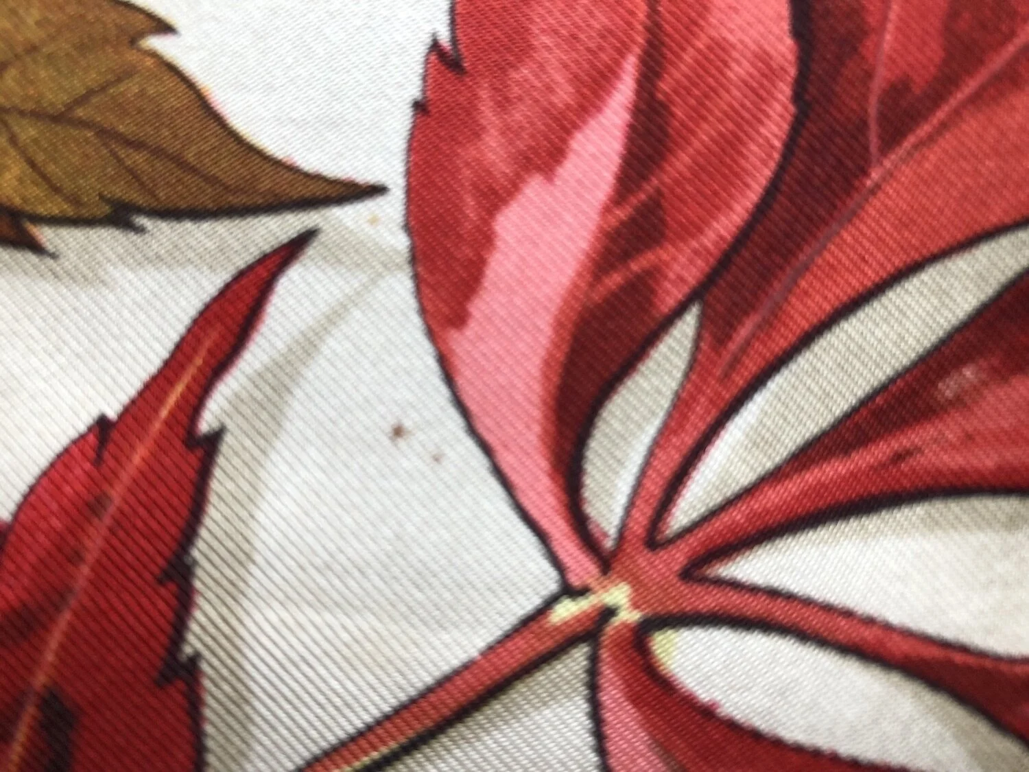 Feuilles4.jpg