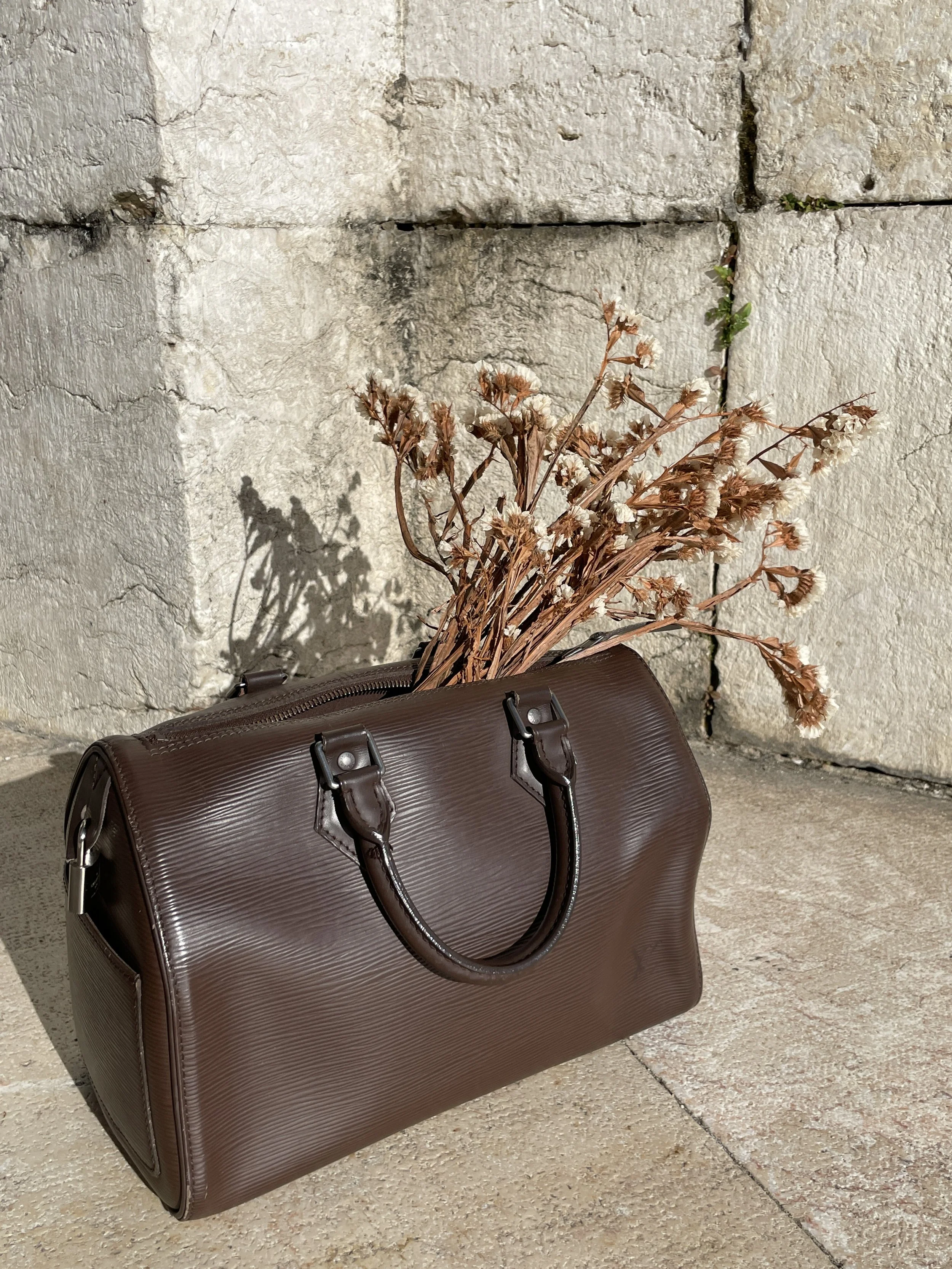 Louis Vuitton Vintage Epi Speedy 25 Handbag