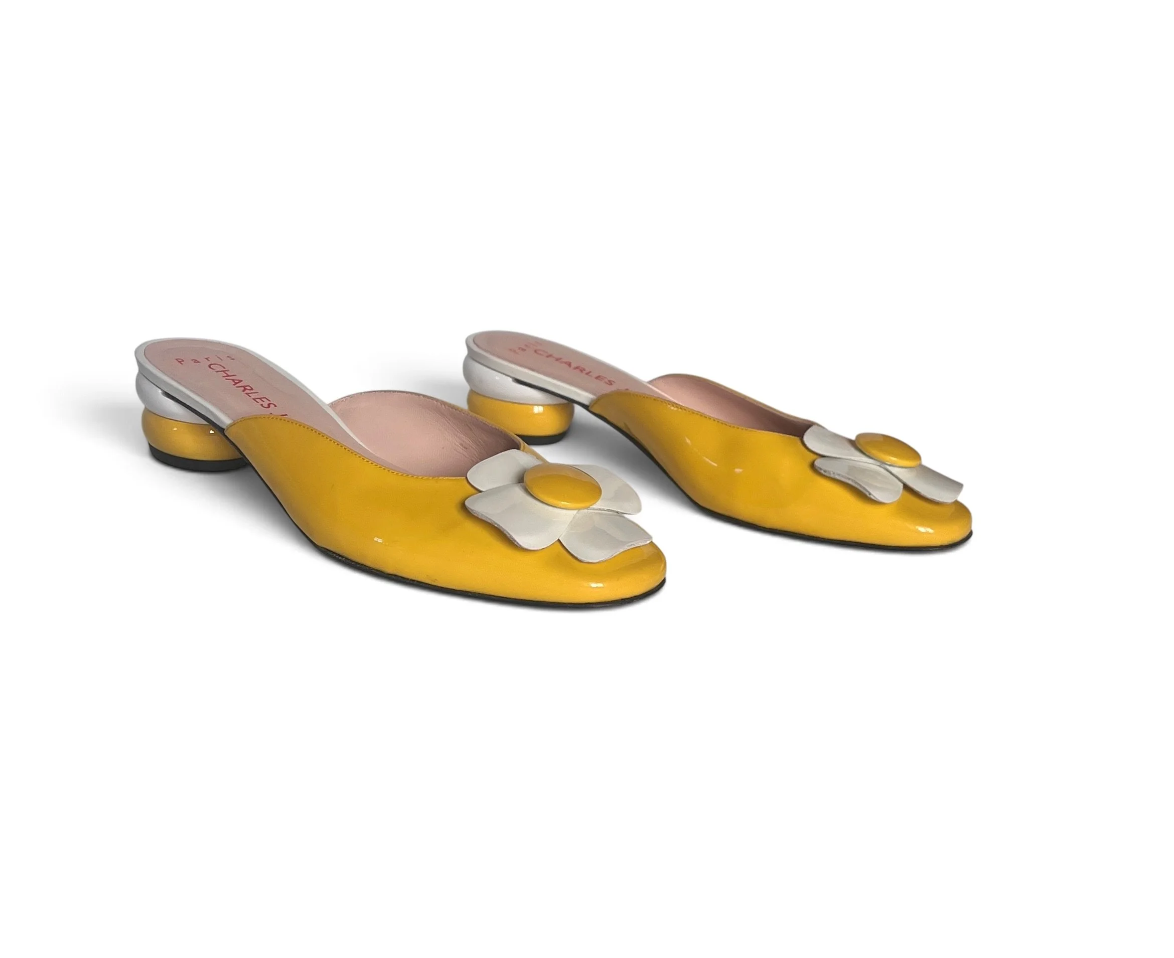 CJYellowdaisy1.jpg