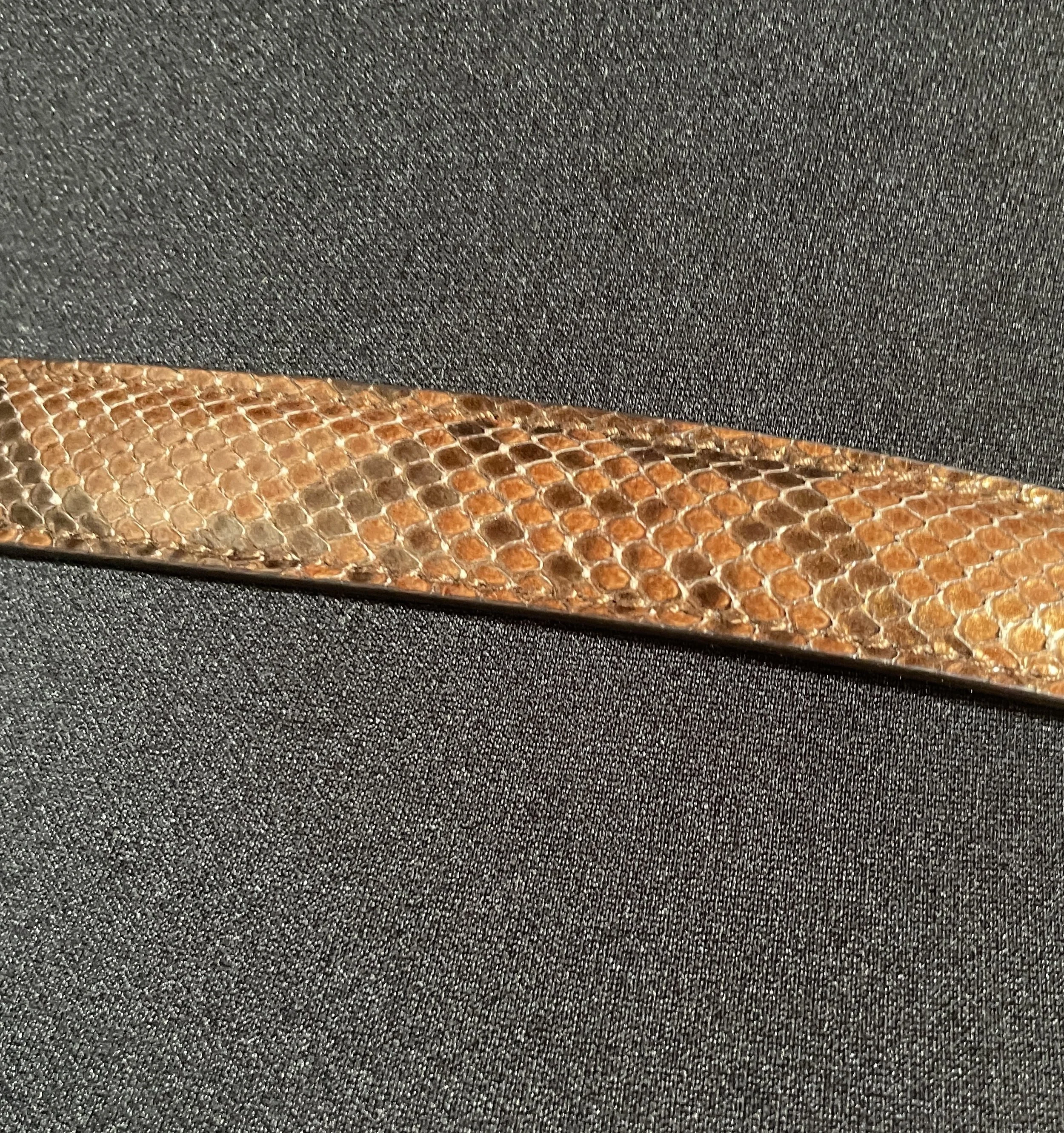 Gucci Lizzard Belt5.jpg