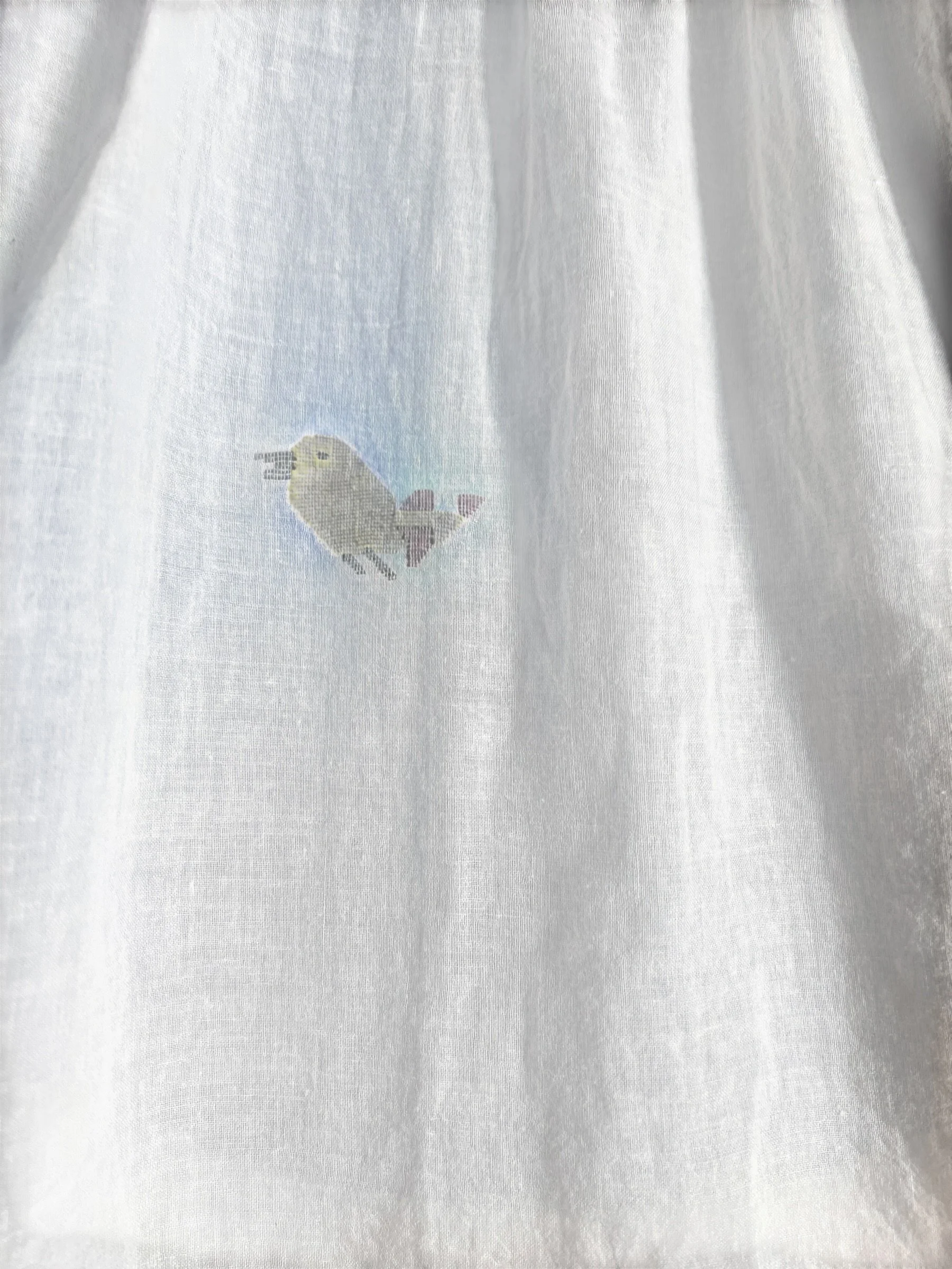 ShiftBirds6.jpg