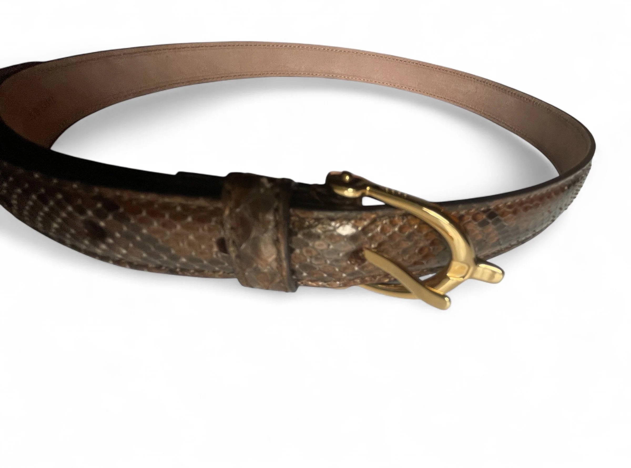 Gucci Lizzard Belt12.JPG