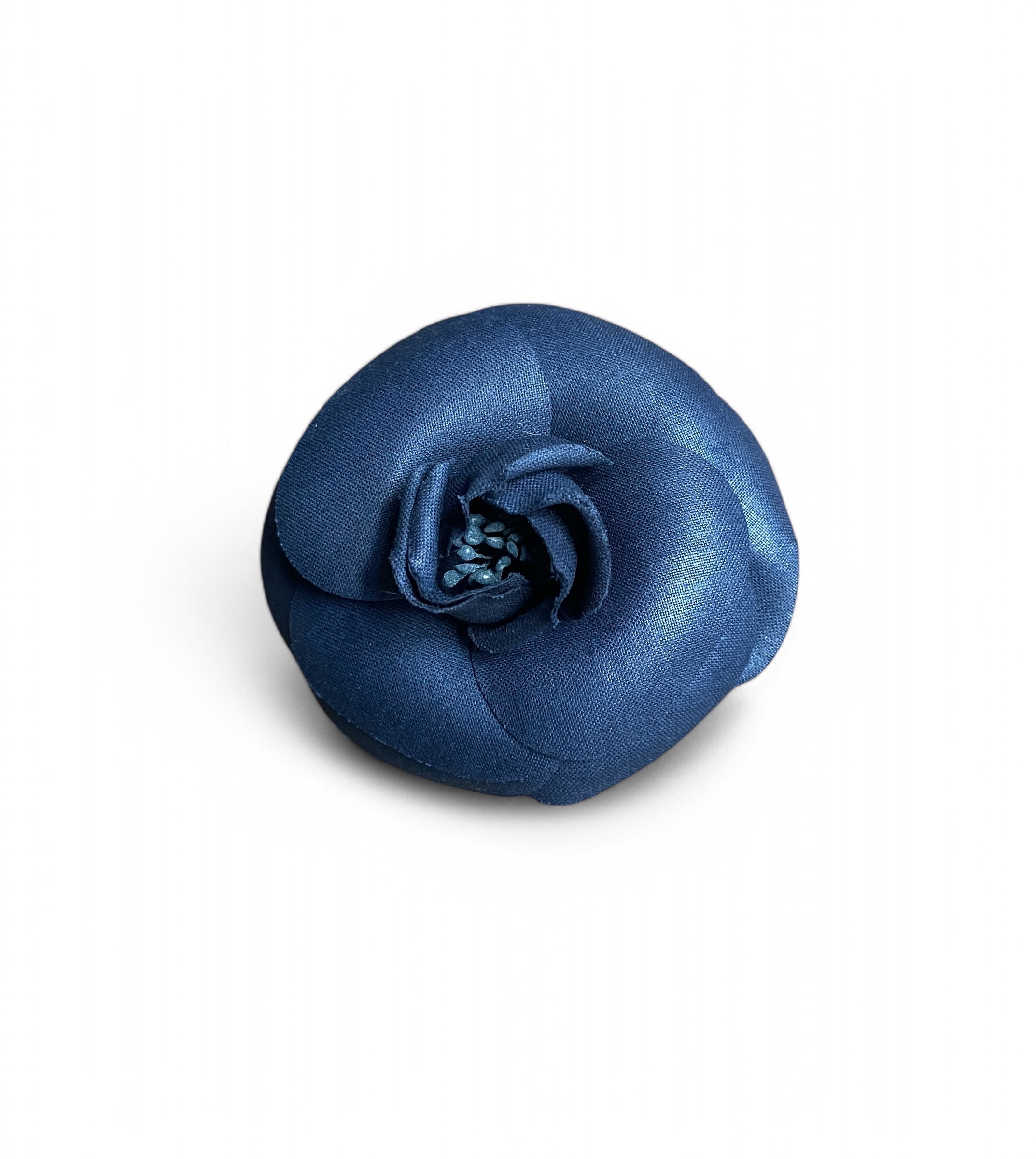 CamelliaBlue10.JPG