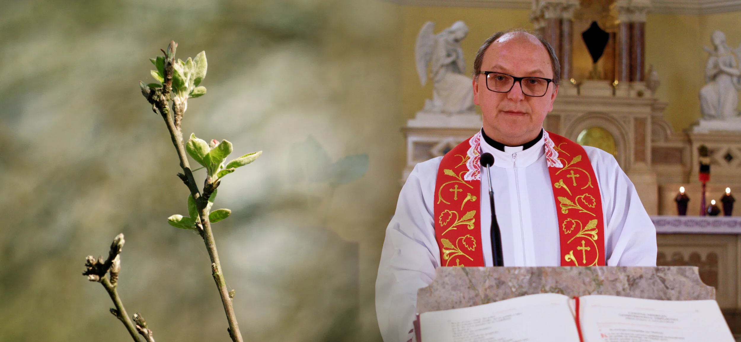 Nagovor župnika Aleša na cvetno nedeljo