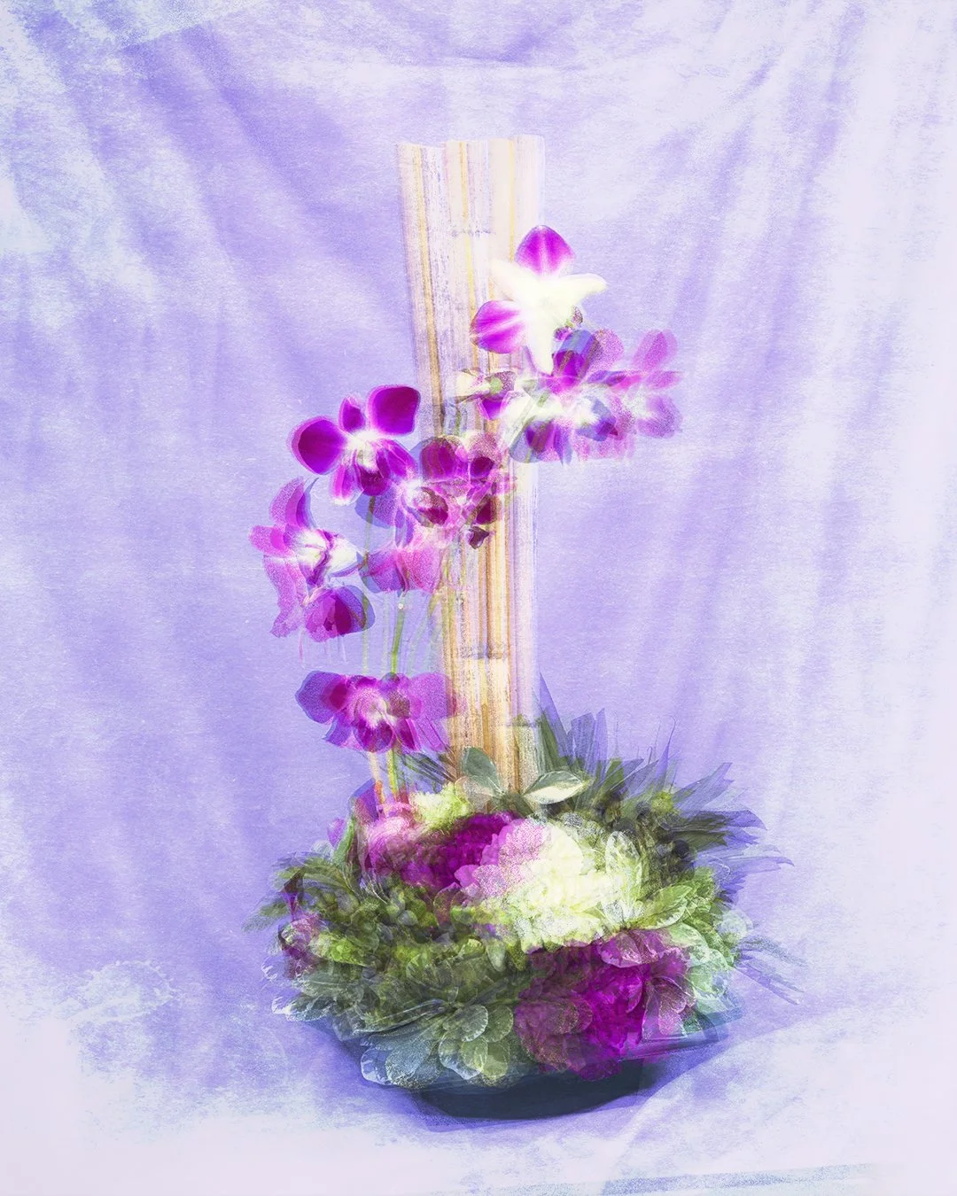 arrangement.jpg