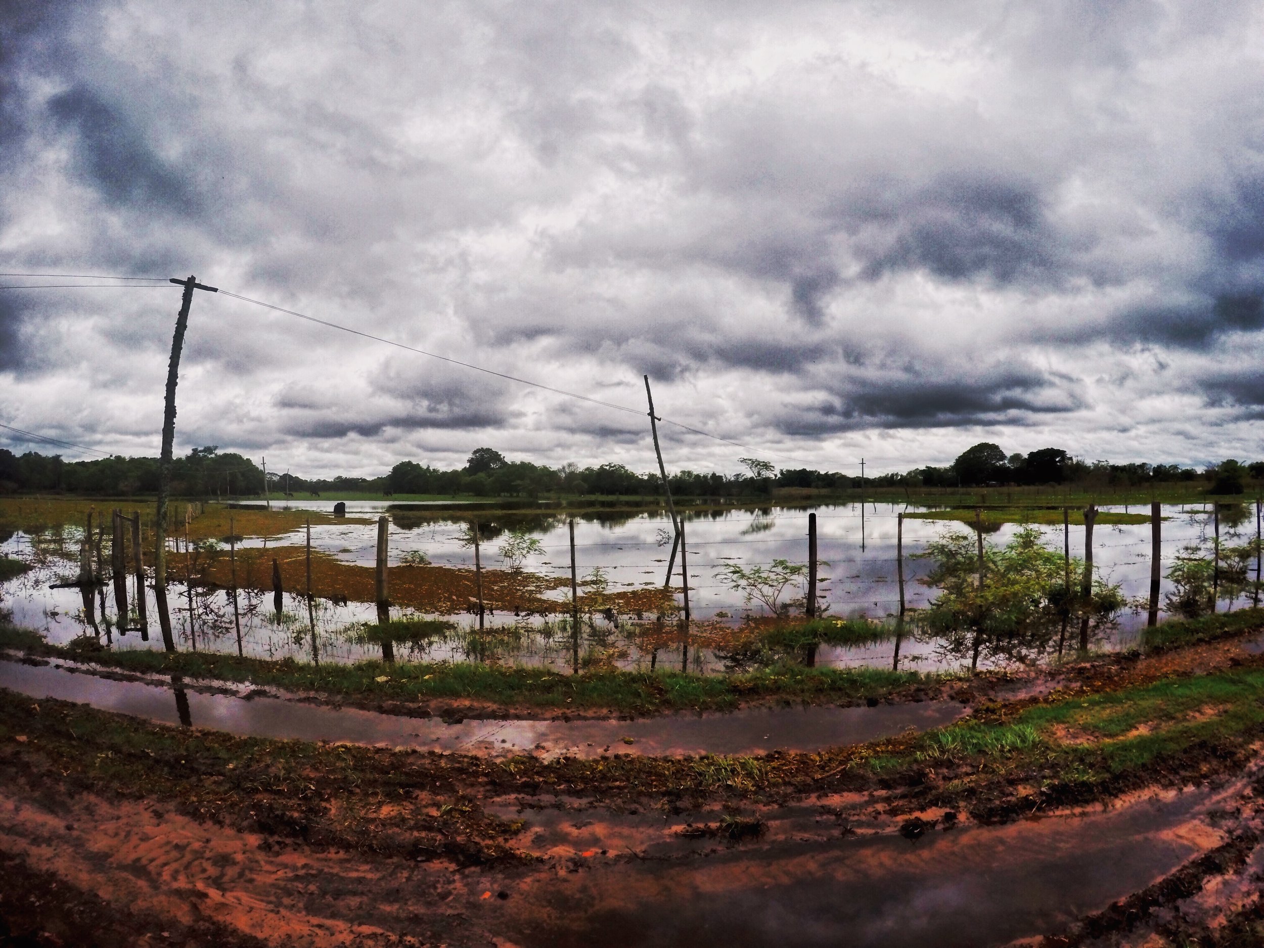  what my site looked like after a storm  