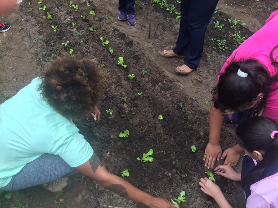 Working in the garden with the kids. During this lesson we learned about transplanting