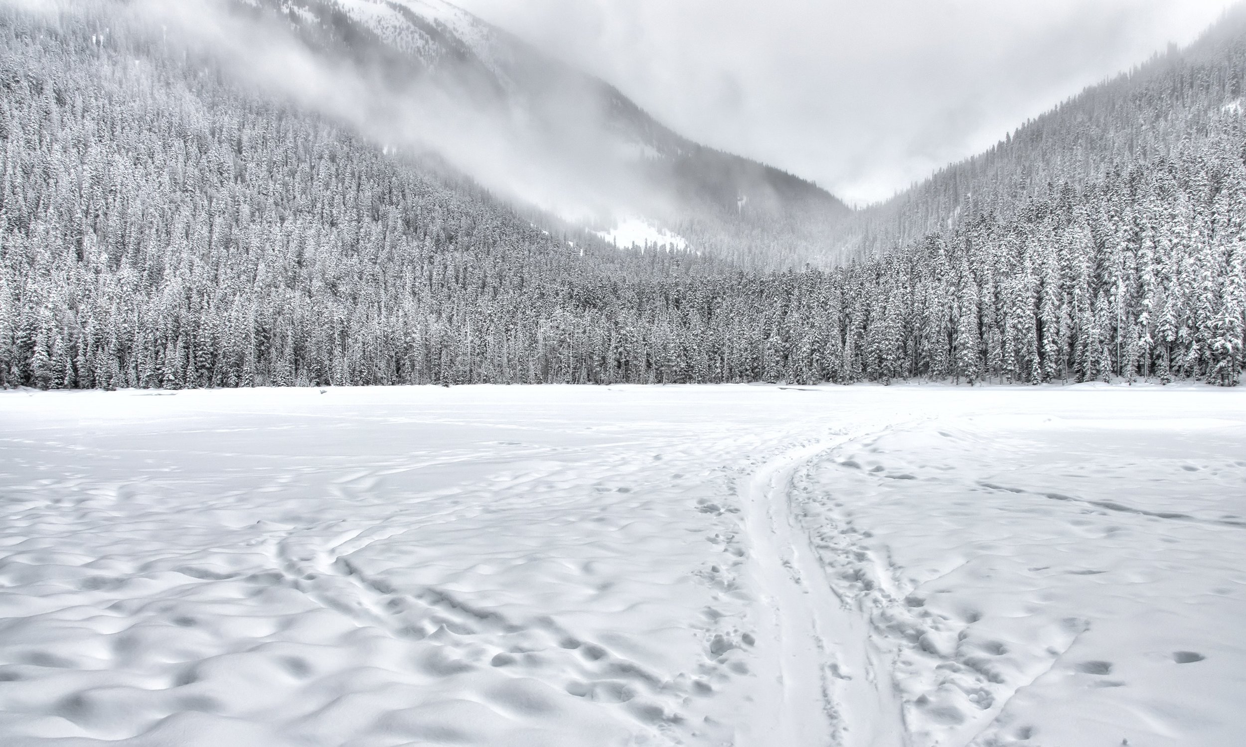 black-and-white-clouds-cloudy-1571442.jpg
