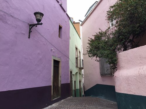 Printmaking in Guanajuato with Mandee Schroer