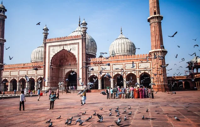 1546941545_enticing-india.jpg