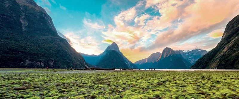 Best of New Zealand.jpg