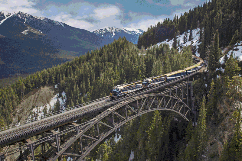 Experience A Journey Like No Other With Emerald Tours