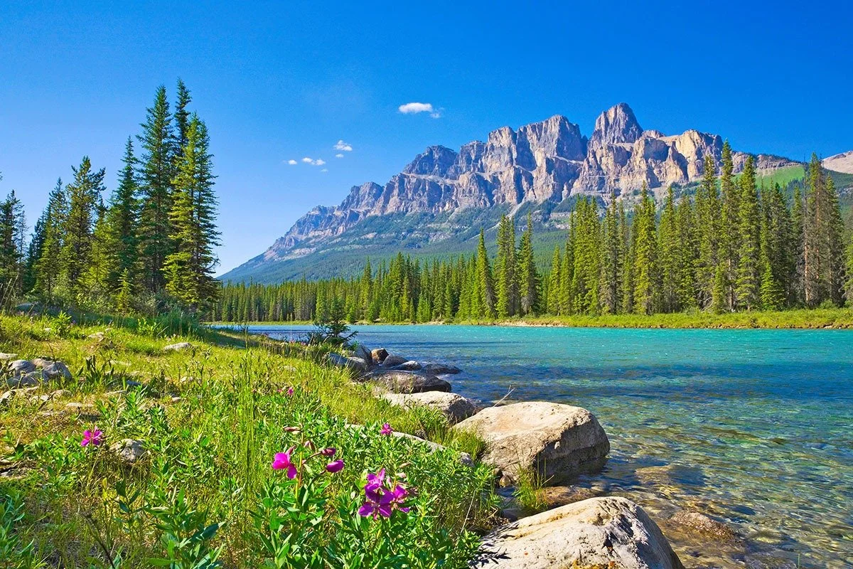 Experience the Beauty of Canada, Alaska &amp; USA with Scenic