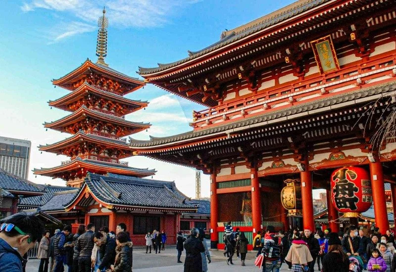 Discover the beauty of Japan with Bunnik Tours