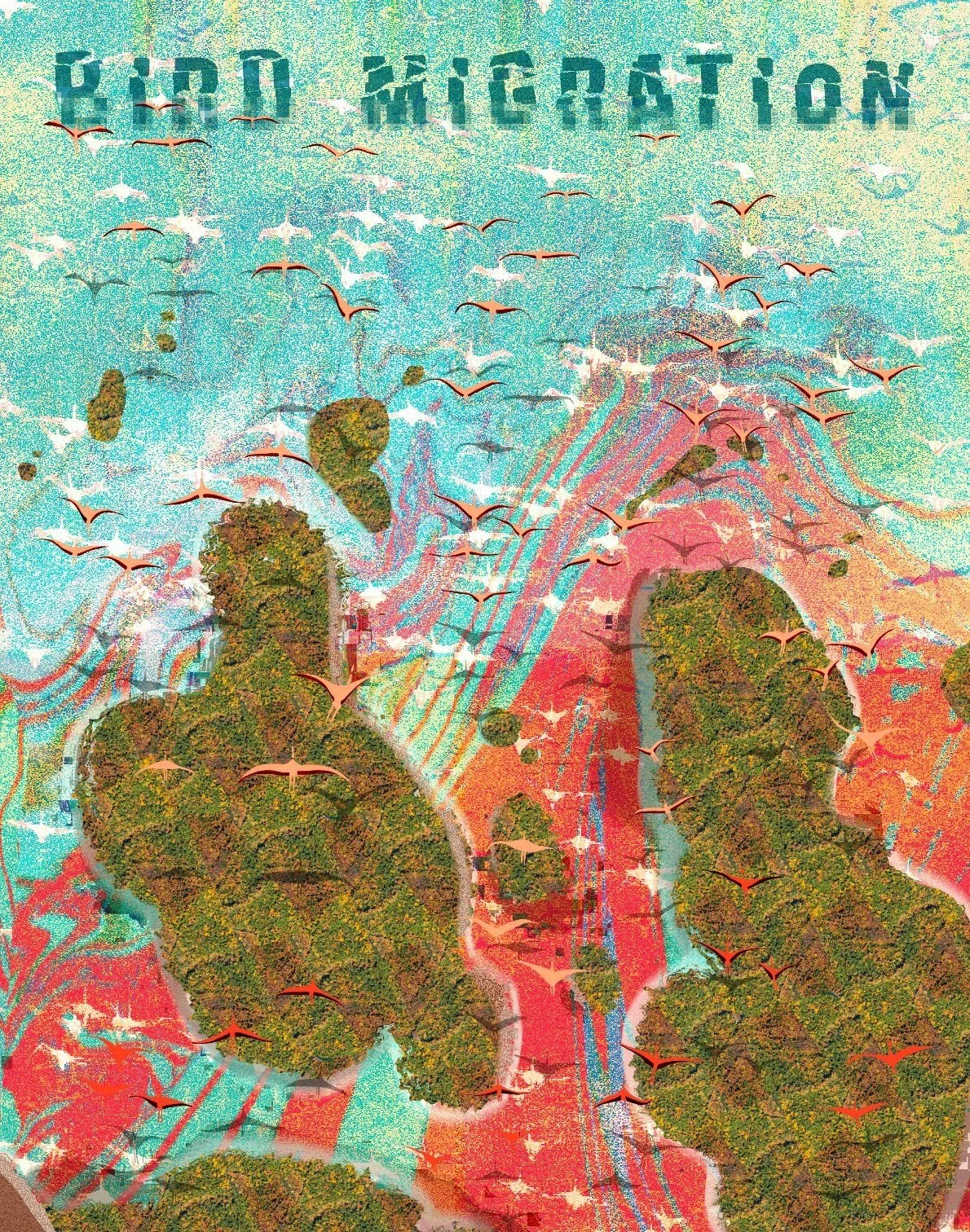 Bird Migration Poster