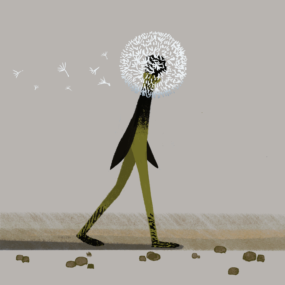 Dandelion Man