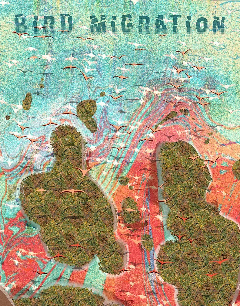 Bird Migration Poster