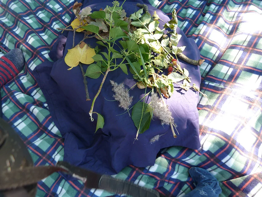 P1030778_RS.jpg
