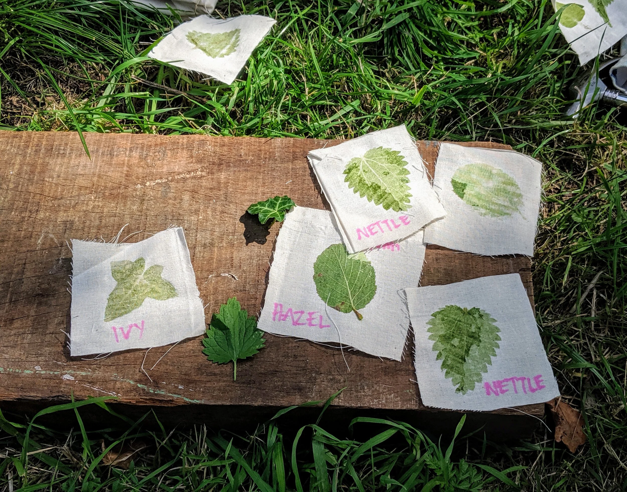 7Leaf bashing patterns.jpg