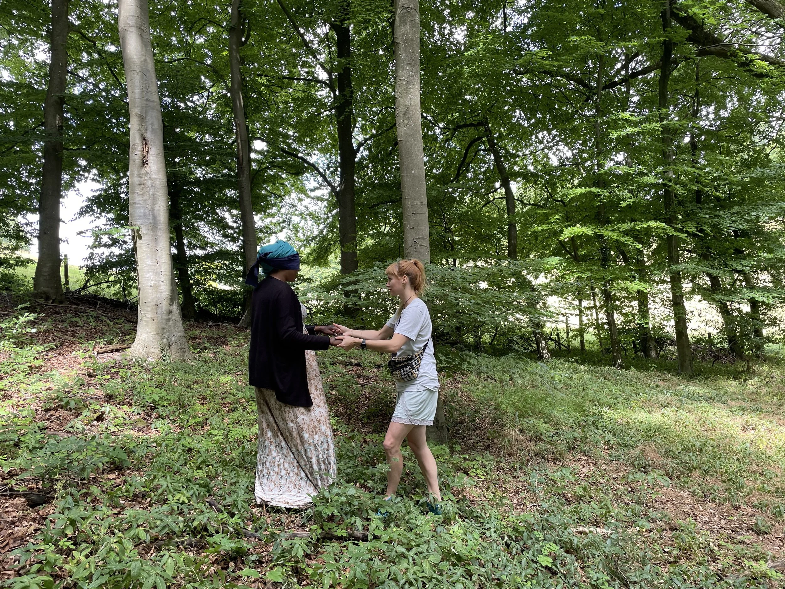 Tree share.jpg