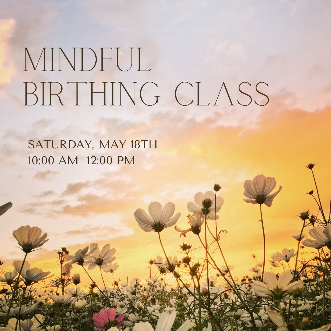 Mindful Birthing is a perfect addition to your current childbirth education course. Chelsea will teach you how mindfulness, visualization, and relaxation can help you to have a calm, peaceful birth experience. Mindfulness is &ldquo;the awareness that