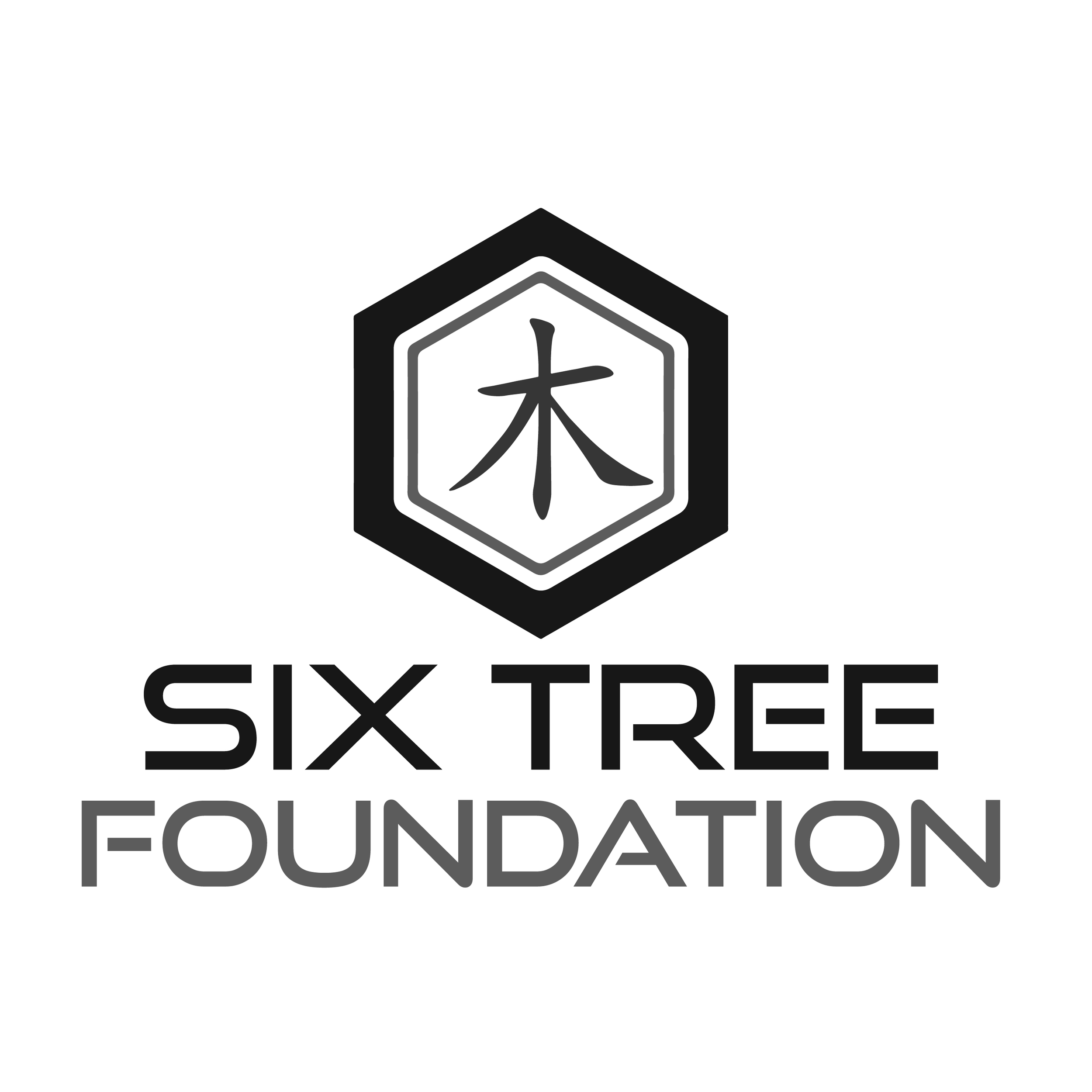 MM_Six Tree Capital_FOUNDATION FF-01_square 2.png