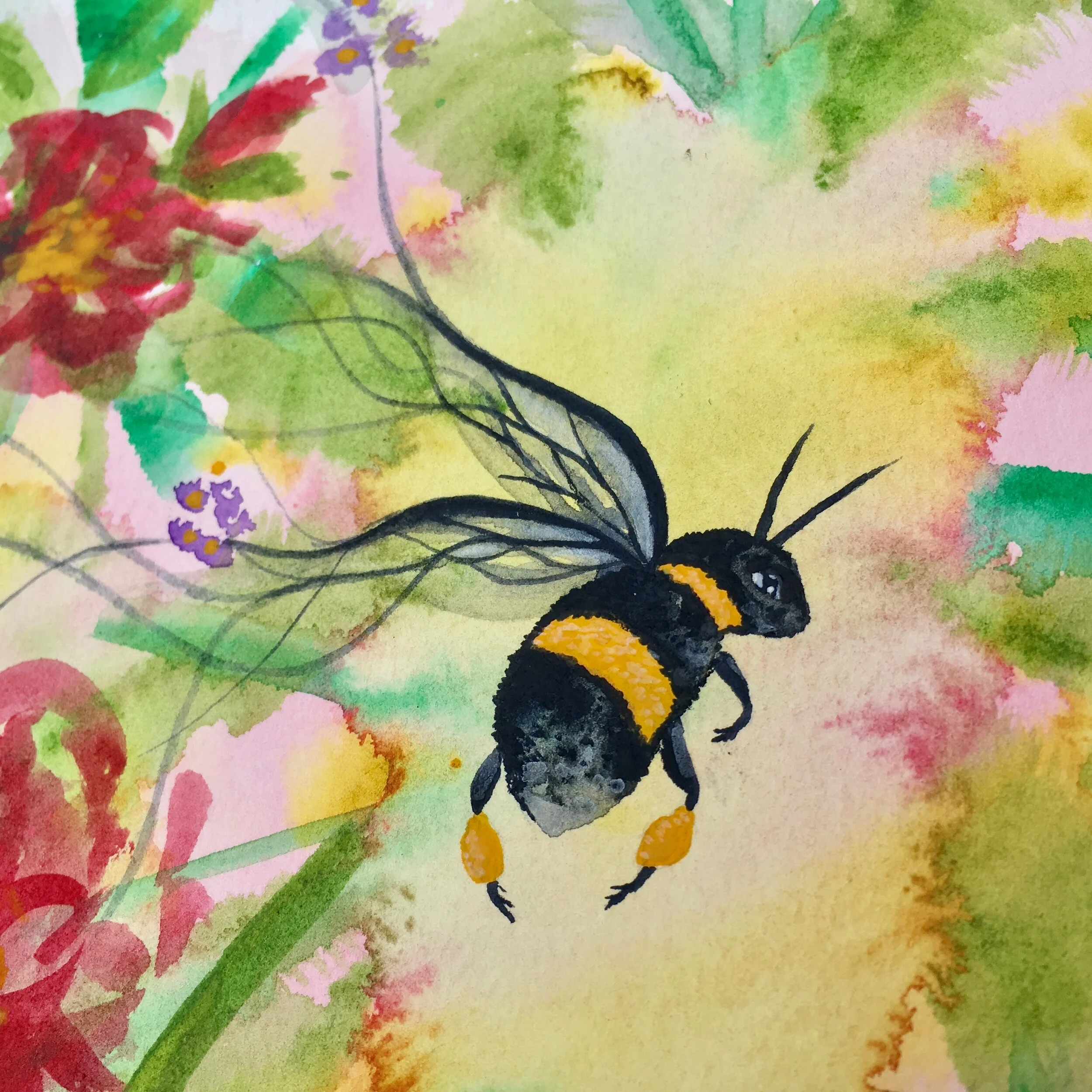 Finding Community in Nature