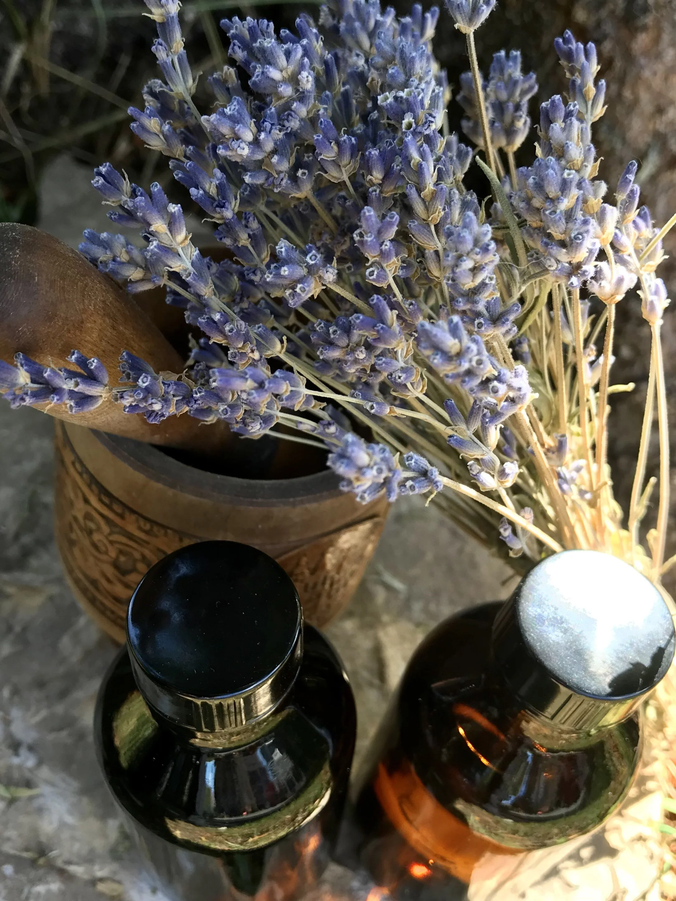 Gifts from the Earth Workshop