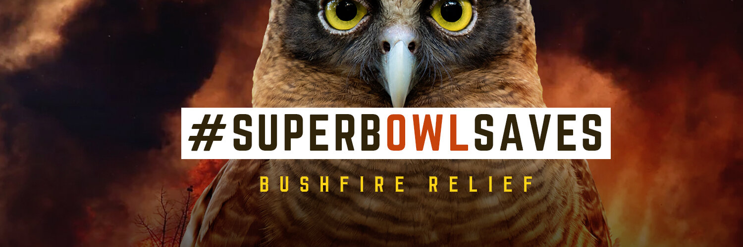  200+ tweets and $10,000+ raised for WWF during the Big Game. 