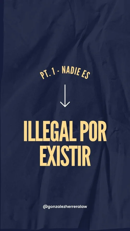 Slide 8