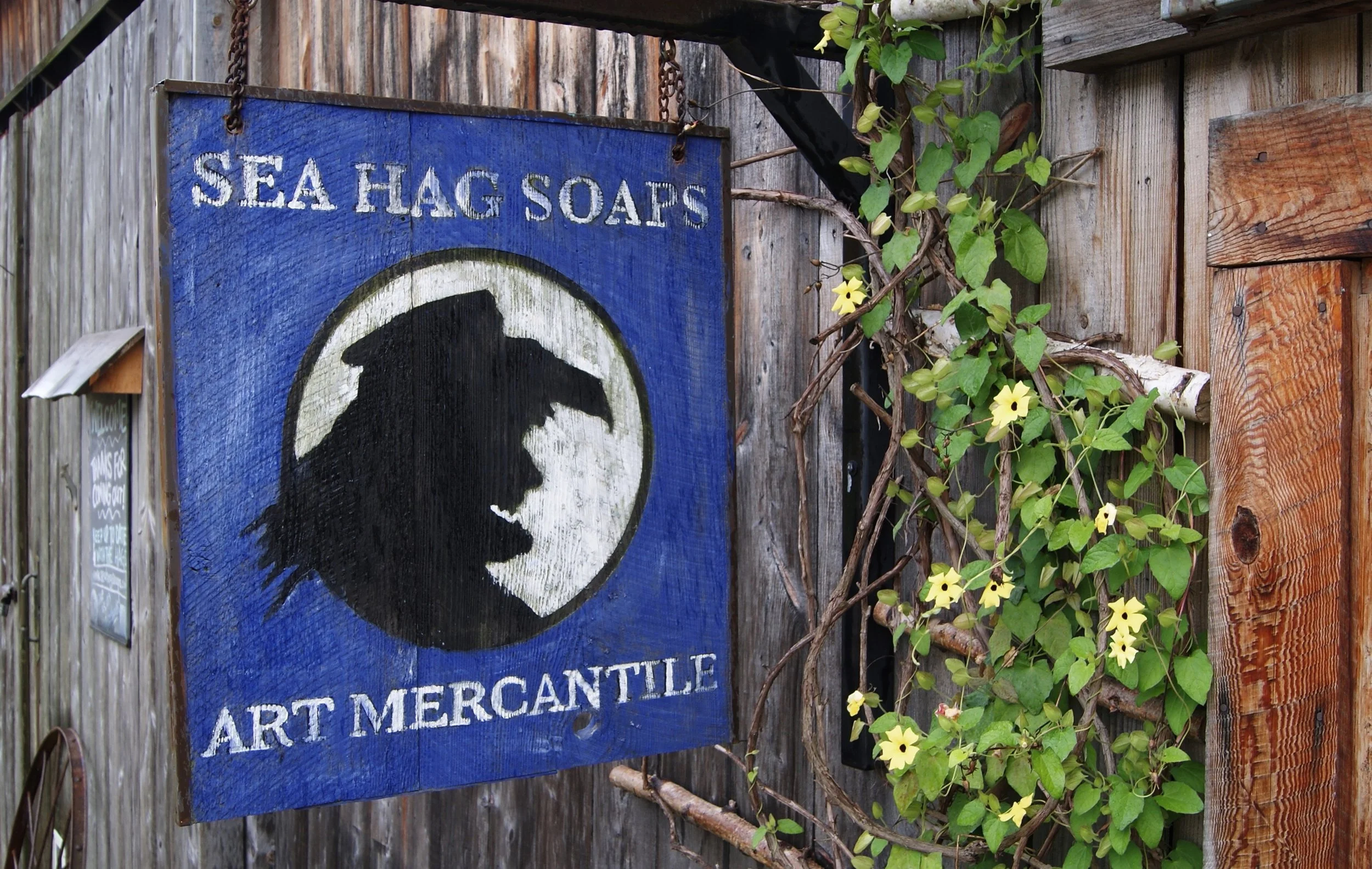 Blue Sign Sam2.jpg