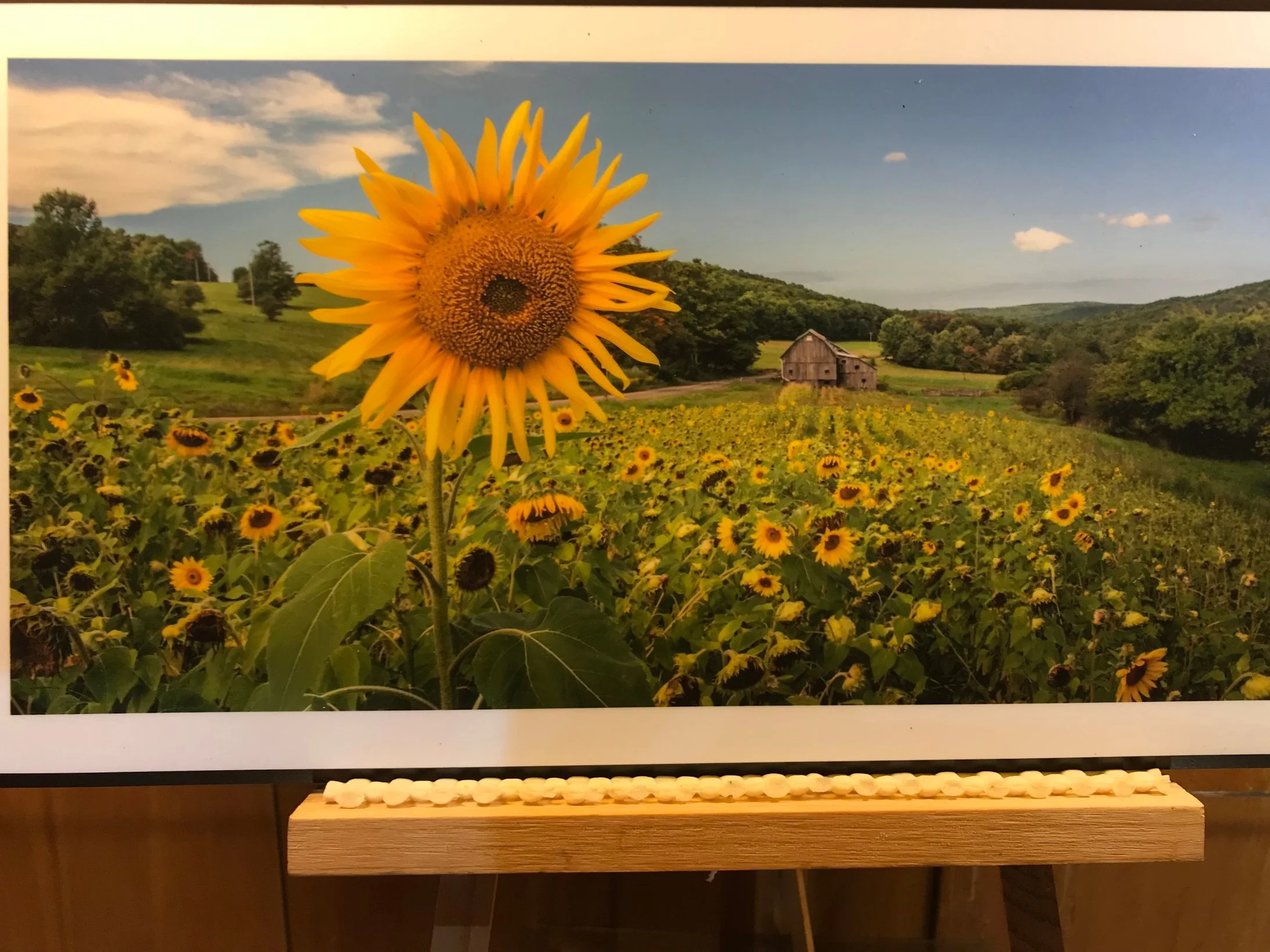 VanZandbergen Photography