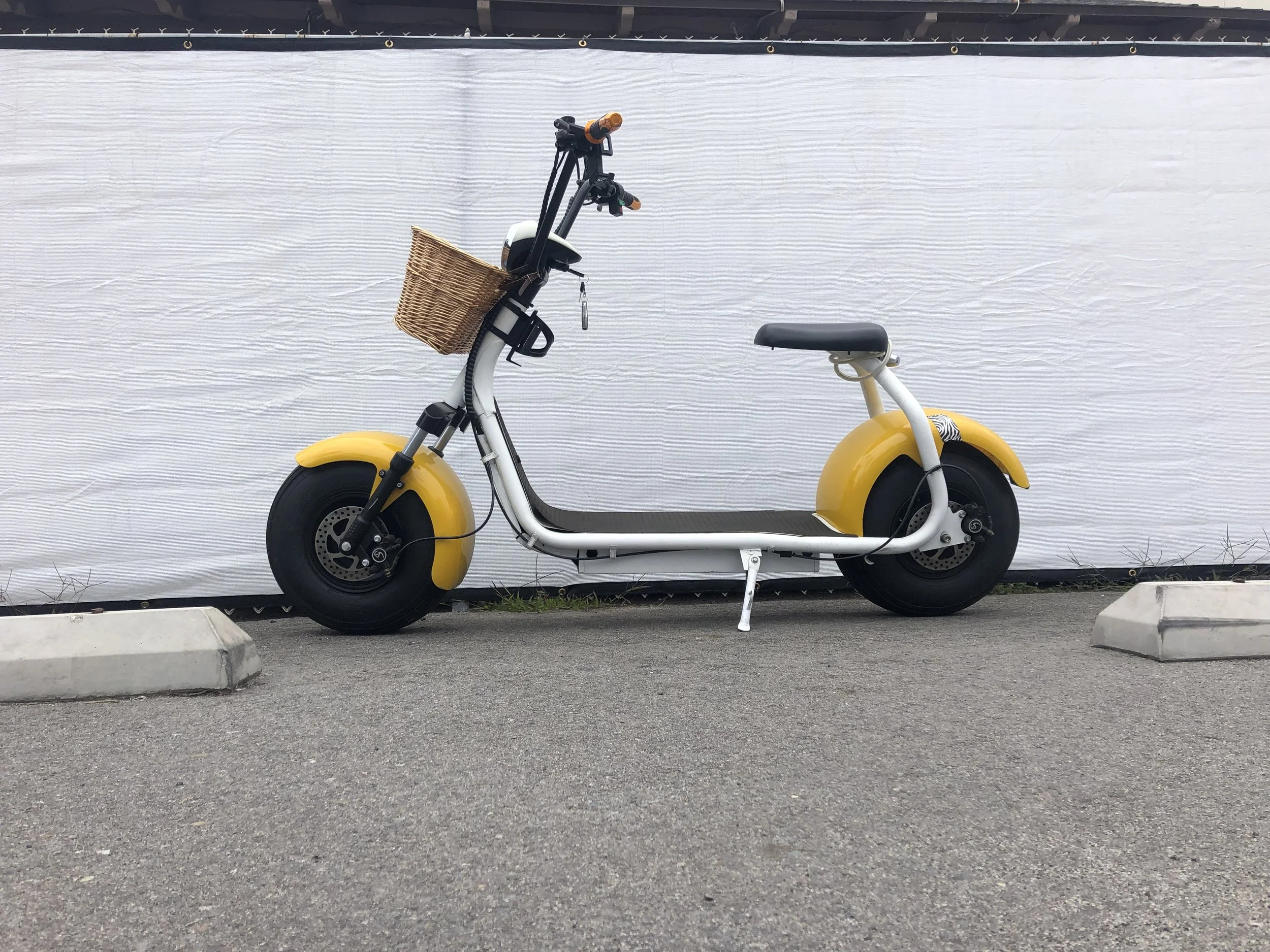 Single Fat Tire Scooter