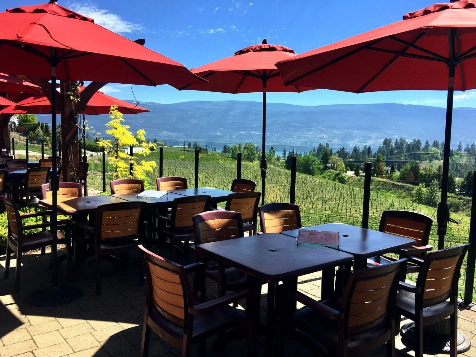 dirtylaundrvineyardpatio-min-1536x1152.jpg