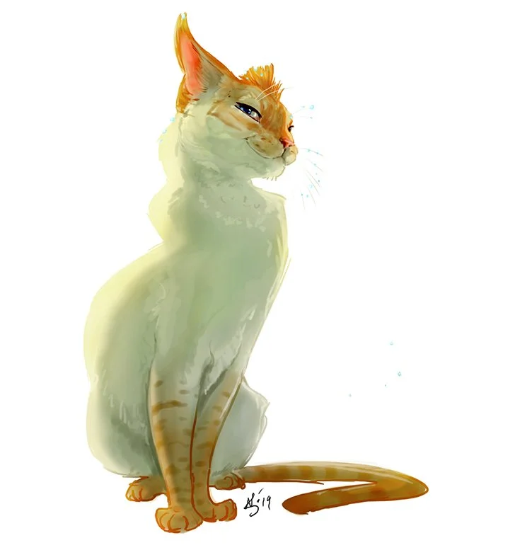 Portrait - Romeo after drinking from a water faucet
