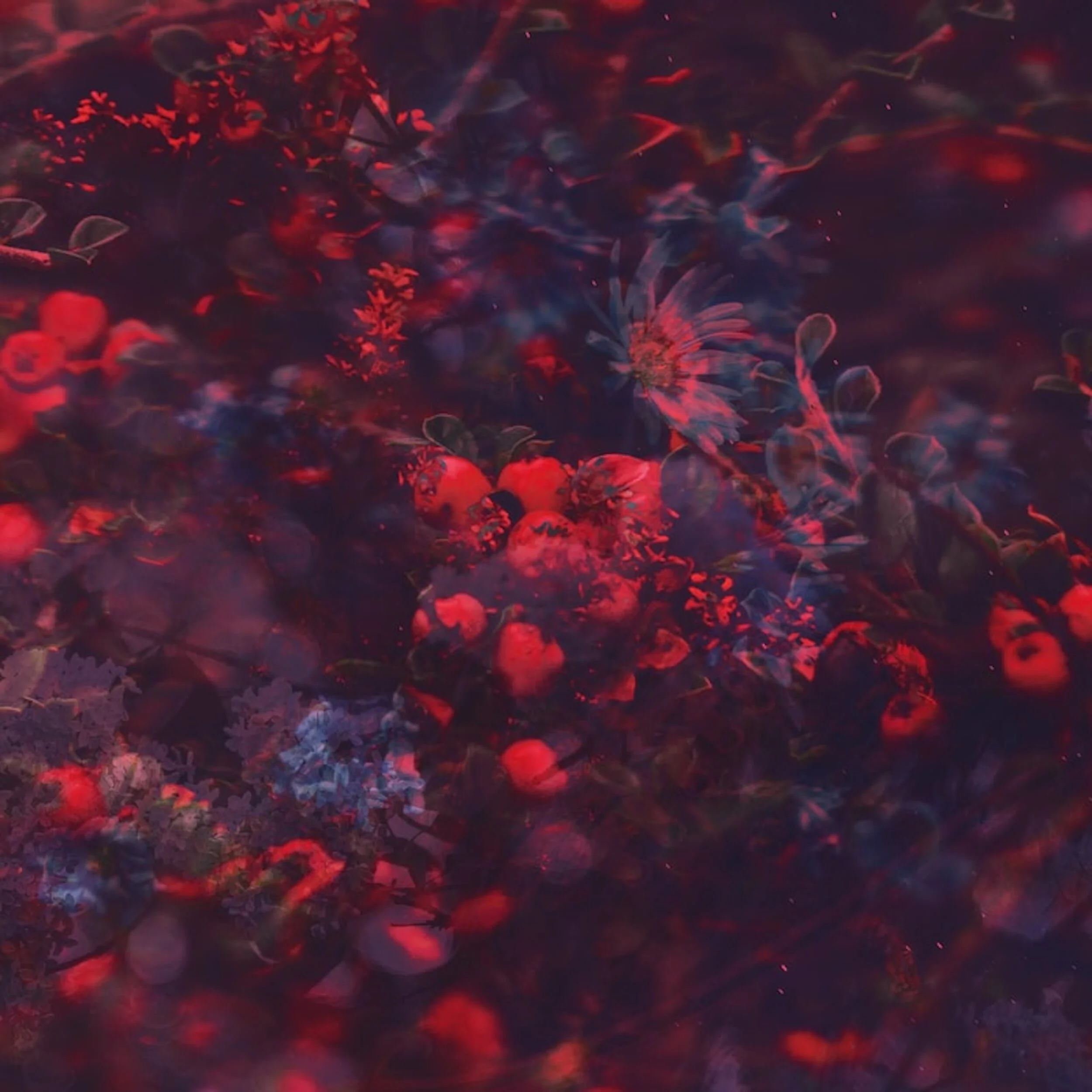 New Album Yulio “Venus” 2021 Diffuse Reality Records (Barcelona - Buenos Aires)