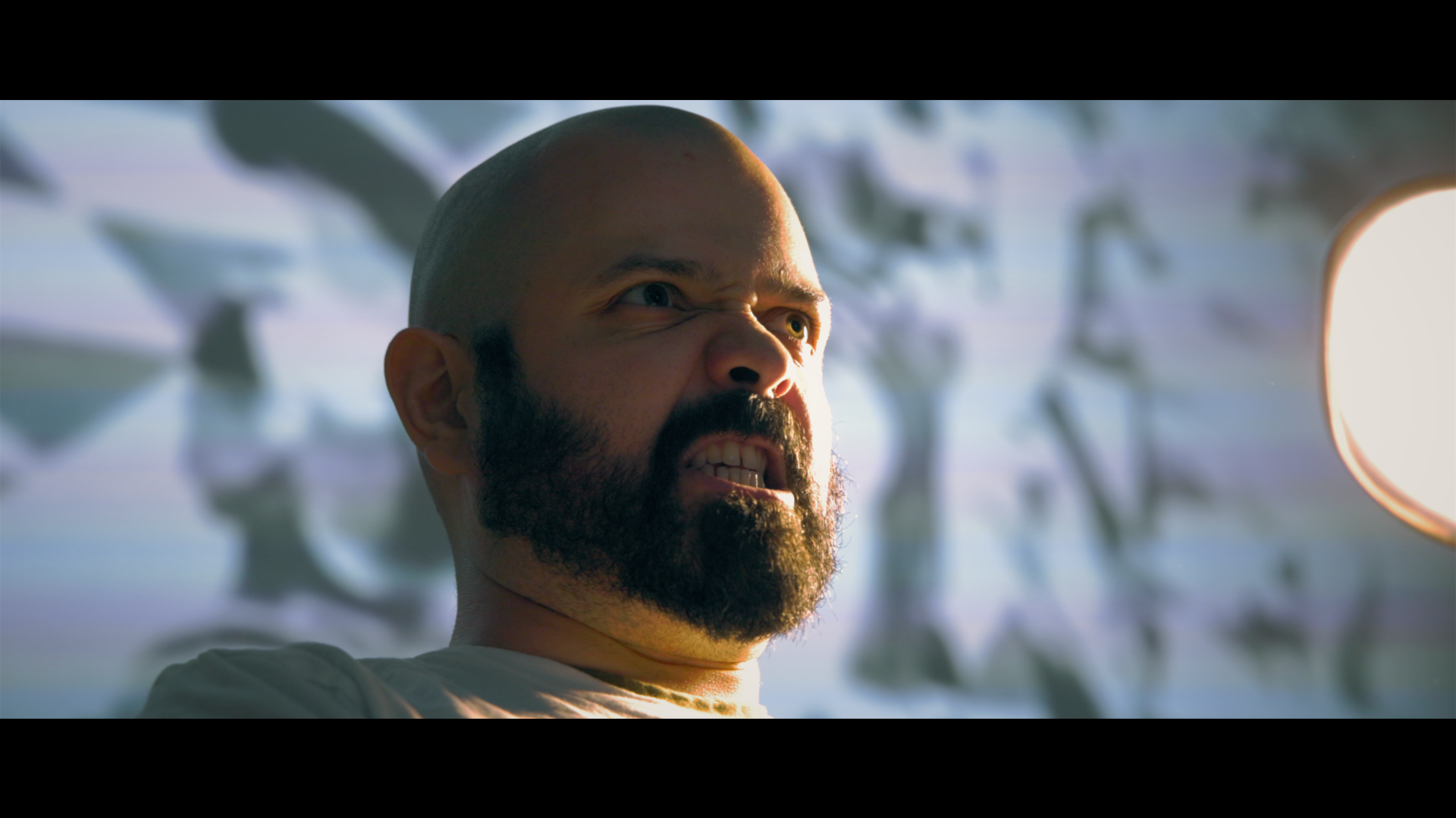 A Hamlet Idea (video director)