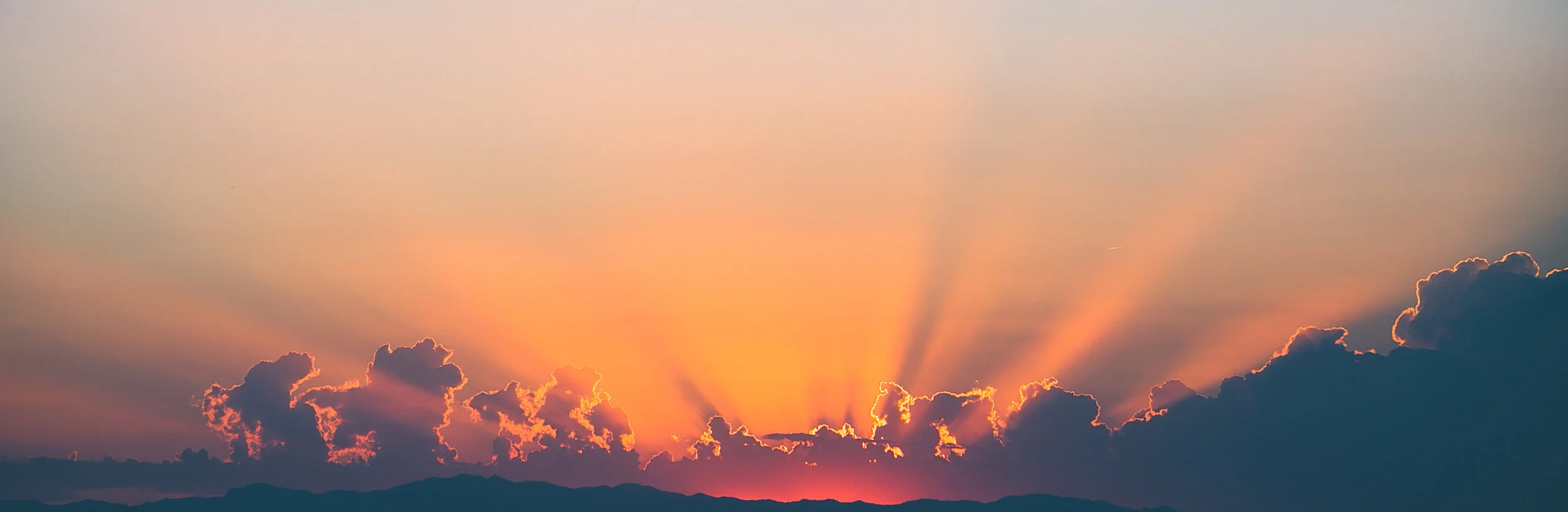 header1.jpg