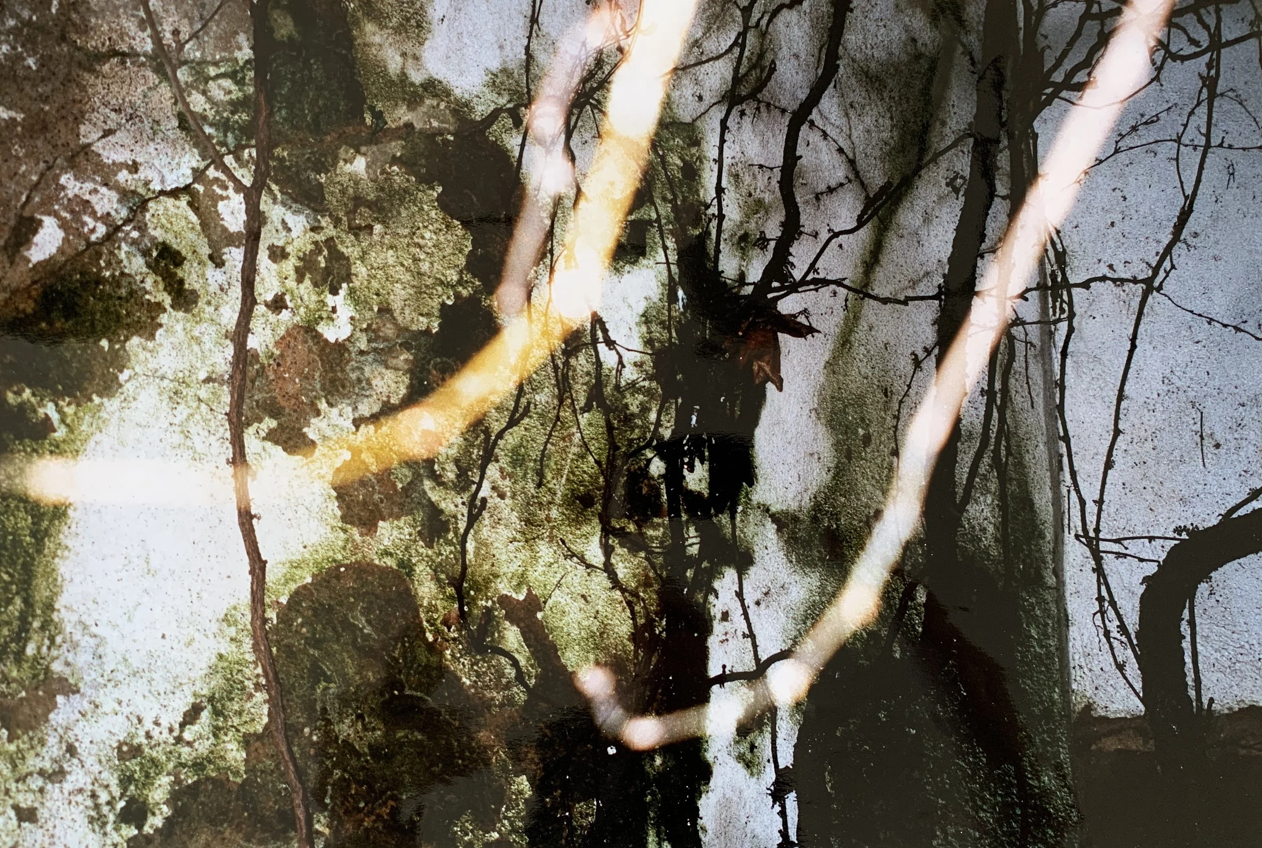 OHNE TITEL